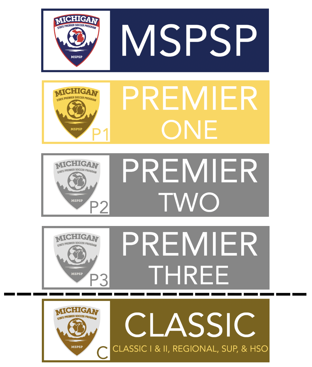 MSPSP Divisions MSPSP